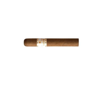 Villiger 1492 RobustoVilliger 1492 Robusto